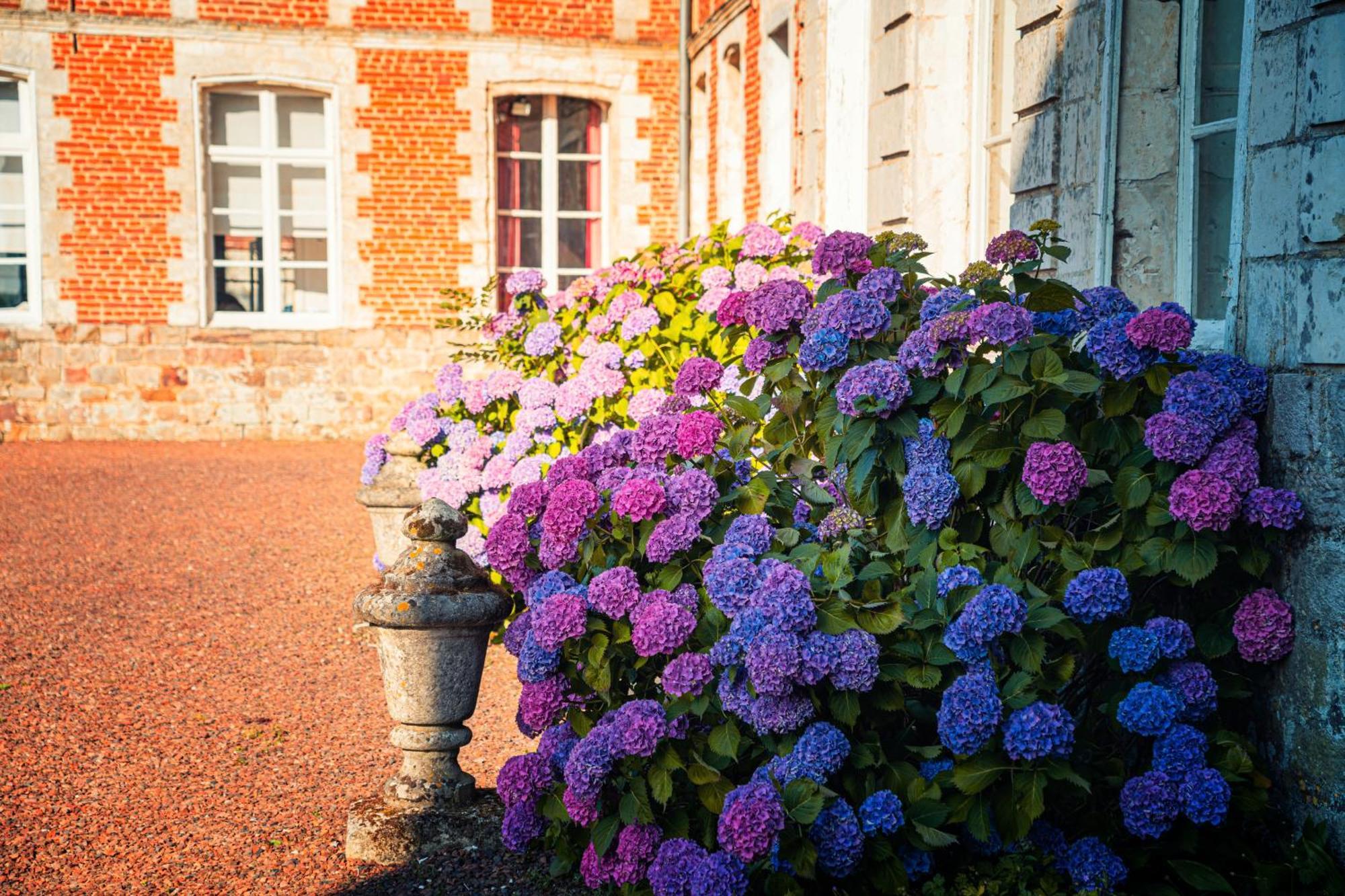 Chambres D'Hotes & Gites Du Chateau De Grand Rullecourt Esterno foto