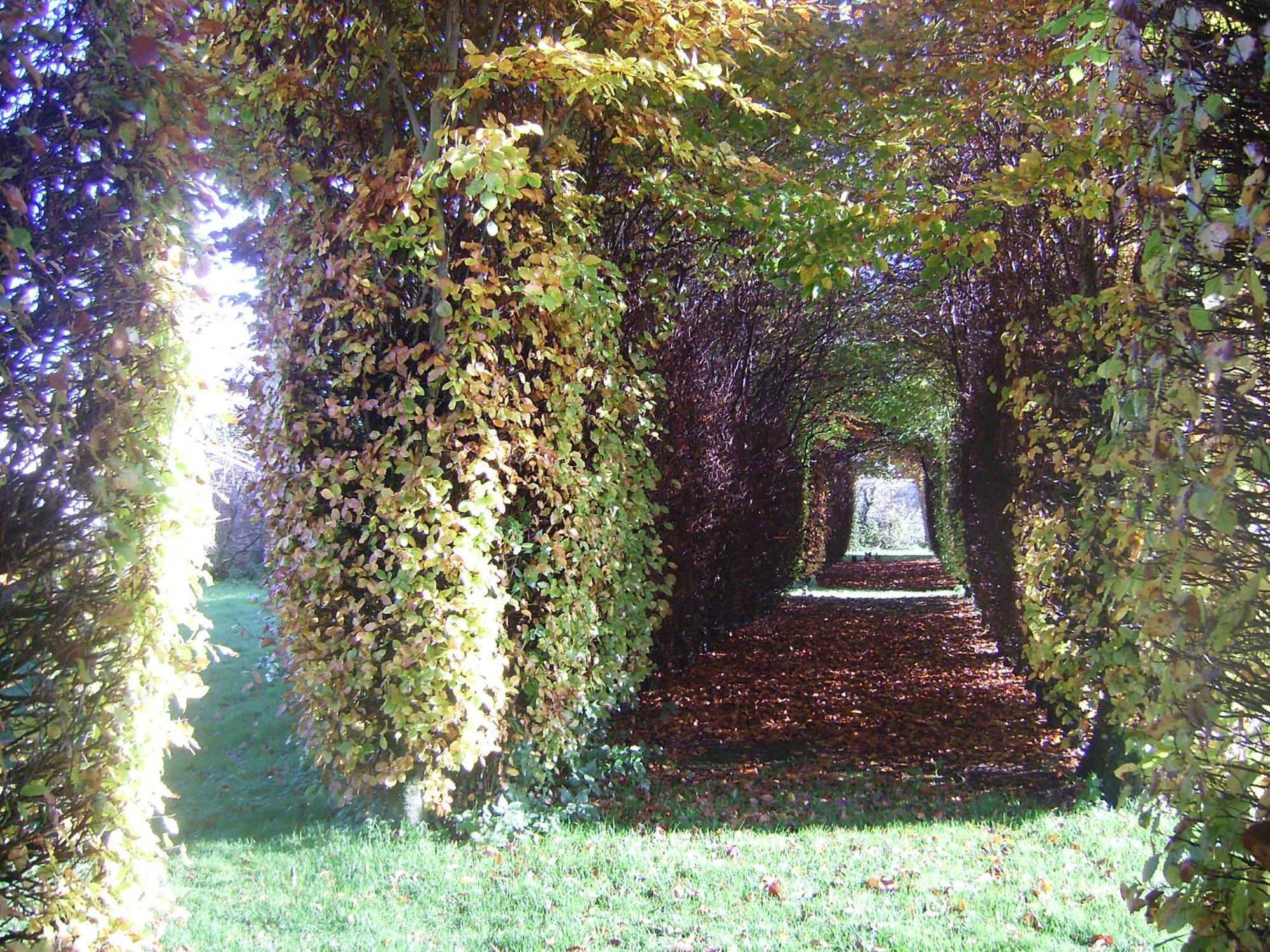 Chambres D'Hotes & Gites Du Chateau De Grand Rullecourt Esterno foto